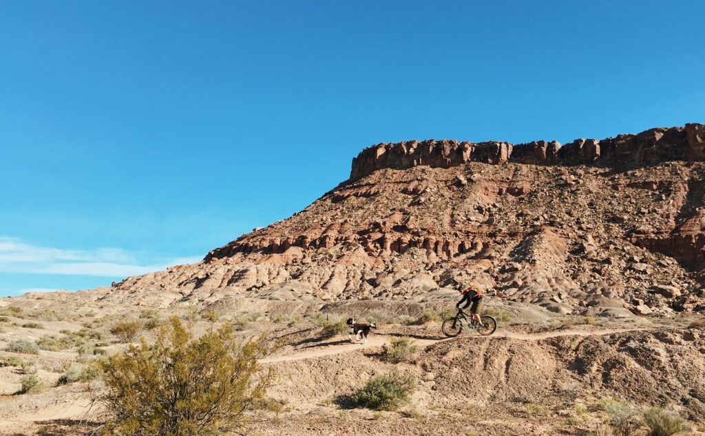mountain biking in the dry rocky desert